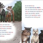 Links sprechen zwei Wölfe, rechts stehen fünf Wölfe zusammen.
