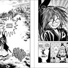 Zwei Seiten eines Mangas: Links "ANDERE WELT, ICH KOMME!", rechts "NUN DENN... GEHABT EUCH WOHL!". Zeichnungen von Figuren.