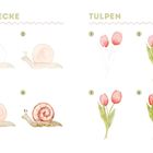 Schnecke und Tulpen mit nummerierten Illustrationen. Schnecken links, Tulpen rechts. Vier Phasen pro Motiv.