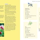 APRIL, Text zu Pflanzenarten und Anzucht. Links gelb, rechts weiß. Bilder von Blumen und Gurke. Tipp: Gurken am Wurzel gießen.