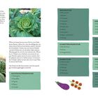 "We are family" - Pflanzenfamilien: Nachtschatten-, Kreuz-, Schmetterlings-, Korb-, Kürbis-, Doldenblütler, Gänsefuss-, Lauchgewächse.