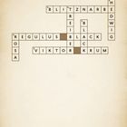 Überschrift: "Lösung". Kreuzworträtsel mit Wörtern wie "BLITZNARBE", "HEDWIG", "REGULUS", "BLACK", "VIKTOR KRUM".