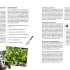 SCHAFWOLLE – EINE NACHHALTIGE DÜNGEMETHODE. Gründüngung verbessert Bodenfruchtbarkeit, schützt vor Erosion und fördert Insekten. Motiv links: Schaf, rechts: Salat.