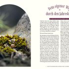 Überschrift: "Dein eigener Weg durch den Jahreskreis". Ein Moosbild auf einem Stein links, Text rechts. Seite 21.