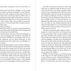 Seitenzahlen: 12 und 13. 

Es handelt sich um eine Buchseite mit Text. 

Die Szene beschreibt das Meer, eine Bootsfahrt, eine Möwe und Panino.