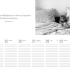 Zitat: „Es gibt zwei Mittel, die Widrigkeiten des Lebens zu vergessen: die Musik und die Katzen.“ Albert Schweitzer. Kalender.