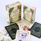 „Grüne Magie - Das Naturorakel“ auf Schachtel und Buch. Illustrationen von Pflanzen und Tieren auf Karten.
