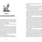 Kapitel 1: Das Grosse Grün. Illustration: Statue eines Fuchses. Text beschreibt eine Szene mit Akiko, Suka und anderen.