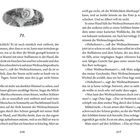 Seite 316: „71.“; 
Text erzählt von einem Weihnachtsmann mit Laterne im Schnee.