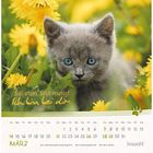 Text: "Sei stark und mutig! Ich bin bei dir." März-Kalender mit Bild eines grauen Kätzchens im Löwenzahnfeld.