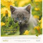 Text: "Sei stark und mutig! Ich bin bei dir. zu Josua 1,9". Ein graues Kätzchen zwischen gelben Blumen. Unten: Kalender für März.