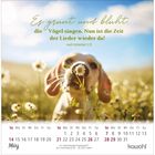Text: "Es grünt und blüht, die Vögel singen. Nun ist die Zeit der Lieder wieder da! nach Hoheslied 2,12". Kalenderbild März mit Hund und Gänseblümchen.