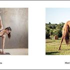 Parivtta Trikonasana. Frau in einer Yoga-Pose. Pferd im gedrehten Dreieck auf einer Wiese.