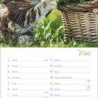 "März". Eine Katze schnuppert an gelben Blumen, die in einem Korb arrangiert sind. Davor ist ein Kalender.