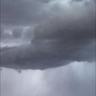 Text: März; Geparden im Naturschutzgebiet Masai Mara, Kenia. Drei Geparden auf einer grasigen Ebene unter bewölktem Himmel.