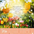 Text: "Wann magst du dich am liebsten bücken? Dem liebchen Frühlingsblumen zu pflücken. Johann Wolfgang von Goethe."  
Frühlingsblumen im Sonnenlicht, Kalender für März.