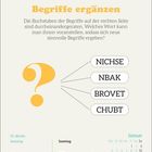 "Begriffe ergänzen. NICHE, NBAK, BROVET, CHUBT. Samstag, 2. Januar. Sonntag, 3. Januar. Fragezeichen-Grafik."