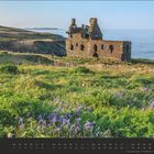 März. Kalender mit Ruinen einer Burg an der Küste, umgeben von grünen Feldern und blühenden Blumen, Meer im Hintergrund.