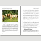 Entstehung der Pferde; Abb. 1 – Przewalski-Herde; Kernaussagen: Evolution heutiger Pferde; Wildpferde und wilde Pferde, 1.3 Wildpferde.