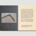 Text: "LAPEROUSE", "50 cm breiten...".
Ein kunstvoll verzierter Bumerang vor einer strukturierten Fläche.