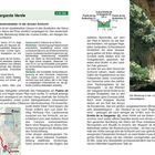 "In die Garganta Verde", Dauer: 2.45 Std. Beschreibung eines Canyons in der Sierra de Grazalema, mit Ausgangspunkt und Hinweisen.