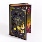 Cover/Produkt Ansicht vergrößern