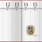 Woche 19; 10–16 Mai; Pfingstsonntag; Profitiert von Nistkästen: Info über den Halsbandschnäpper. Kalenderlayout.