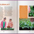 **FELDSALAT**: Info über Geißblattgewächs und Anbau; Tipps für Pflege. Zwei Kinder pflanzen, Hände schneiden Salat.
