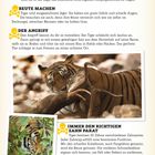 TIGERKRÄFTE: Den geschmeidigen Tieren sieht man ihre Kraft manchmal gar nicht an...

Foto eines Tigers mit Beutetier.