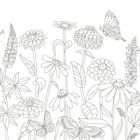 Illustration von Blumen und Schmetterlingen in schwarz-weißem Umriss, ohne Farben gefüllt.