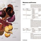 Texte: "Mousses und Cremes", "Mousse", Zutatenlisten, Zubereitung. Links: verschiedene Dessertbestandteile mit Beschriftungen.