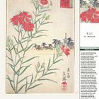 MAI, 19. WOCHE, 16 SONNTAG. Illustration einer Pracht-Nelke mit roter Blüte und langen, grünen Blättern vor Pagode.
