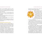 „Harmonieprogramme für die sieben Chakras“ links oben, „Das Nabelchakra und die Gesundheit“ rechts oben. Text bewertet Aktivitäten für Chakras und Gesundheit; beschreibt das Nabelchakra. Logo einer gelben Blume mit Symbol.