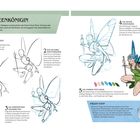 Text zeigt die Schritte zur Zeichnung einer Feenkönigin. Rechts ist eine farbige Illustration mit blauen Flügeln.