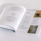 Inhalt: Kapitel über Langlebigkeit, Versorgungsnetz, E-Faktor, Altern mit Bilder von Baumringen.