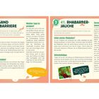 „40. Sand als Barriere“: Methode gegen Schnecken im Garten. „41. Rhabarber-Jauche“: Nutzen gegen Schnecken, inklusive Sicherheitstipps.