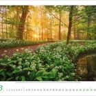 März 3. Ein Waldweg bei Sonnenaufgang, gesäumt von blühendem Bärlauch und Bäumen, mit einem kleinen Teich rechts.