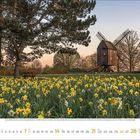 März 2021, Kalender mit Windmühle, gelben Narzissen im Vordergrund, Bäume im Hintergrund, Abenddämmerung.