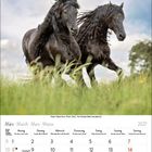 Kalender für März 2027. Zwei schwarze Pferde galoppieren durch eine grüne Wiese unter bewölktem Himmel.