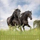 Kalender mit März 2027 unten. Zwei schwarze Pferde galoppieren über eine Wiese vor bewölktem Himmel.