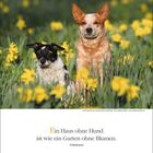 FEBRUAR 20-27, 7. Woche. Zitat: "Ein Haus ohne Hund ist wie ein Garten ohne Blumen." Zwei Hunde in einem Feld aus gelben Blumen.