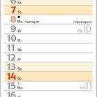 März 2027 Kalender. Bunte Blumen in Vasen vor grünem Hintergrund. Markierte Tage: 8. Frauentag, 20. Frühlingsanfang.