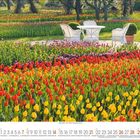 März-Kalender mit blühenden Tulpen in Rot, Gelb, Orange. Im Hintergrund weiße Gartenmöbel, Baumreihen am Horizont.