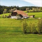 Ein großes, traditionelles ländliches Haus steht auf einem grünen Hügel, umgeben von Wiesen und einem Wald im Hintergrund.