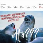Oberer Bereich: Juli 2027, Kalenderwoche 28. Darunter: Zwei Robben, eine wirkt fragend. Text: "Die Frage, die man sich immer wieder stellen sollte, ist 'Hä???'".