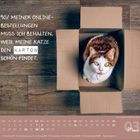 90% meiner Online-Bestellungen muss ich behalten, weil meine Katze den Karton schön findet. Eine Katze sitzt in einer Box.