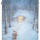 Diese Illustration zeigt einen verschneiten Wald. Ein beleuchtetes Haus, ein Bär hält die Tür auf. Ein anderer Bär kommt.
