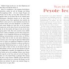 Text: "Was ist die Peyote-Technik?"  
Beschreibung: Bunte Perlen in Schalen, viele in Blau, Rot, Gelb und Grün. Textblöcke erläutern Techniken und Erfahrungen.