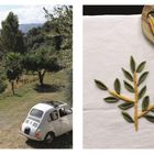 Links eine hügelige Landschaft mit einem alten weißen Auto, rechts grüne Blätter aus Nudeln und gelbe gedrehte Nudeln.