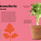 Hack Nr. 05: Staudensellerie aus dem Strunk. Anleitung zur Wiederverwendung, Anbau und Pflege von Staudensellerie. Bild einer Pflanze in einem Topf.